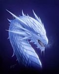 pic for ice dragon